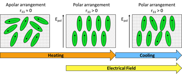 Poling_Process_small